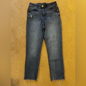 Democracy Dark Blue Skinny Jeans